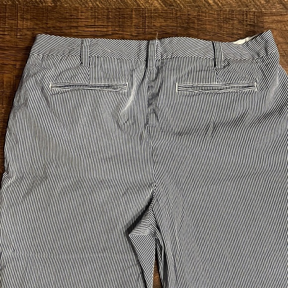 Land’s End Blue and White Vertical Striped Fit 2 Cropped Cotton Blend Pants - Picture 3 of 5